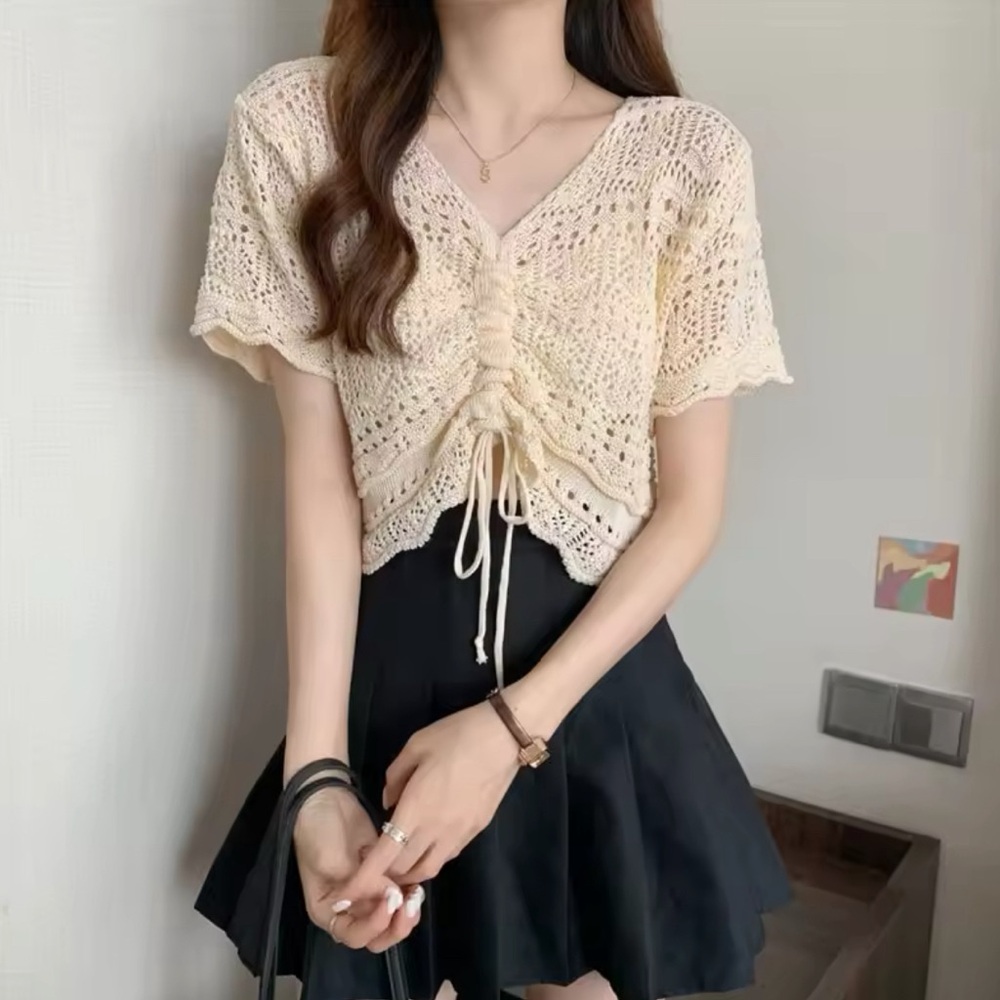 Crochet V Neck Knit Top Short Sleeves